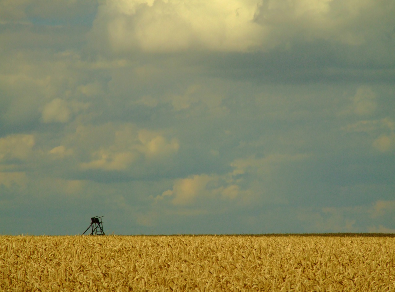 Eich, Hochsitz am Feld